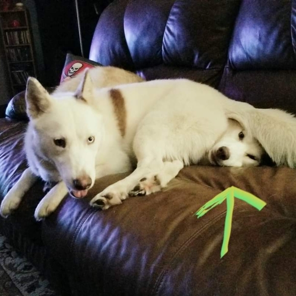 Meet your Posher, Michele π - Picture 5 of 16